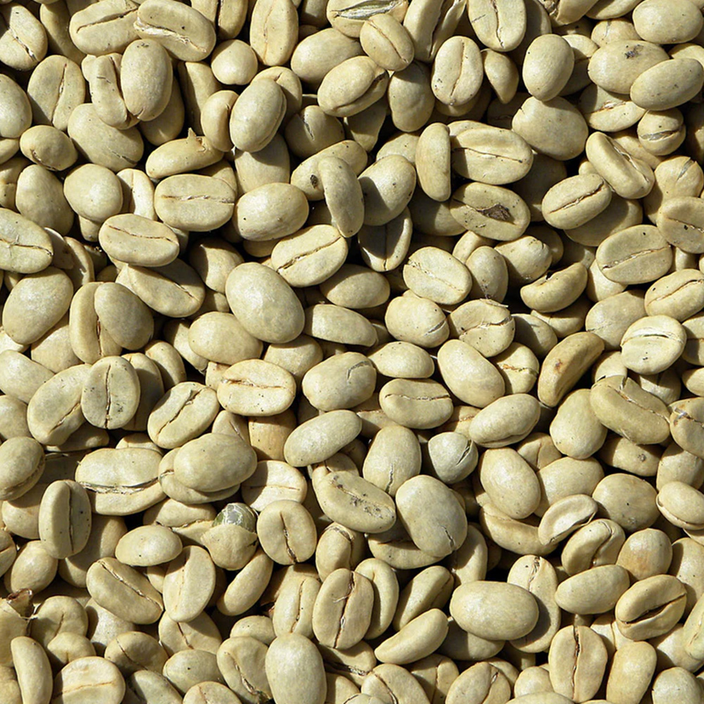 Green Coffee Beans